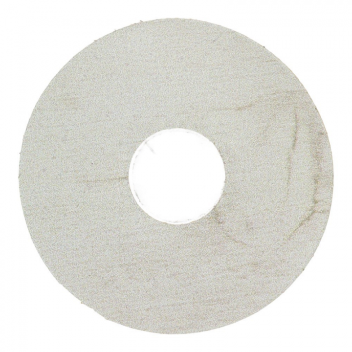 Rozet 17 mm (10 st.) Geloogd grenen sneeuw