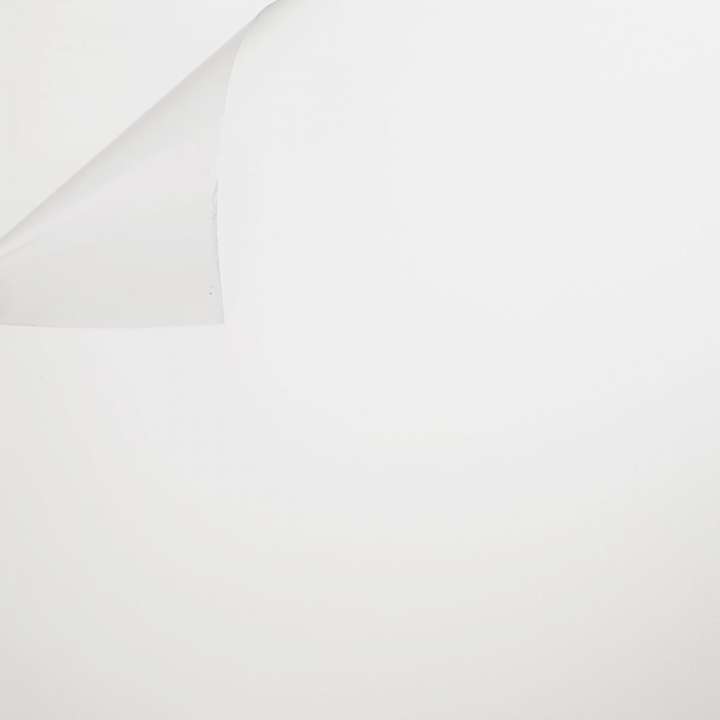 Raamfolie wit matglas zelfklevend 90x250cm